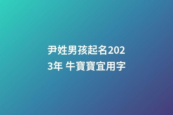 尹姓男孩起名2023年 牛寶寶宜用字